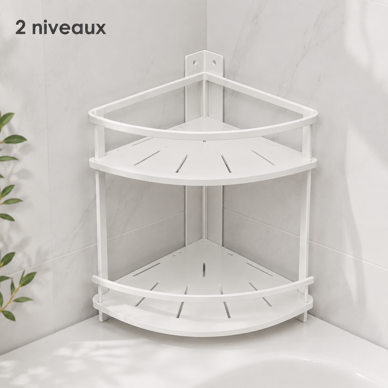 Étagère d’Angle de Douche à 2 Niveaux
